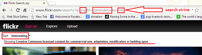 Flickr_search_string