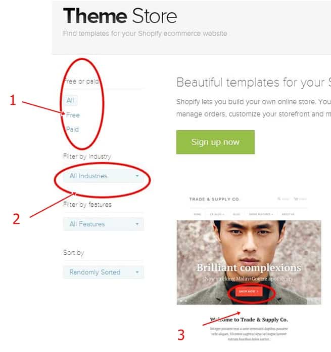 Theme Store example