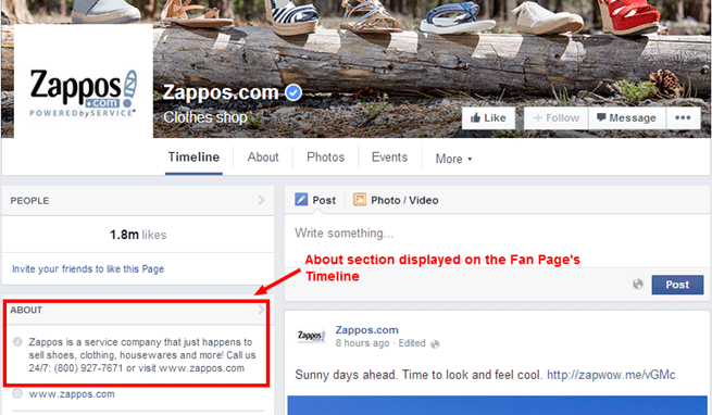 Zappos Timeline