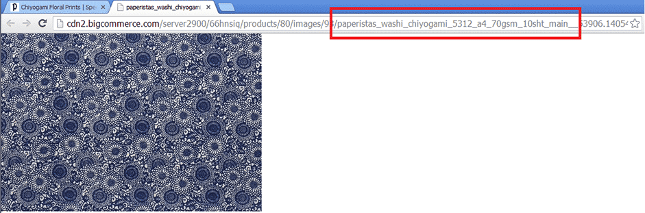 Do not duplicate image file names