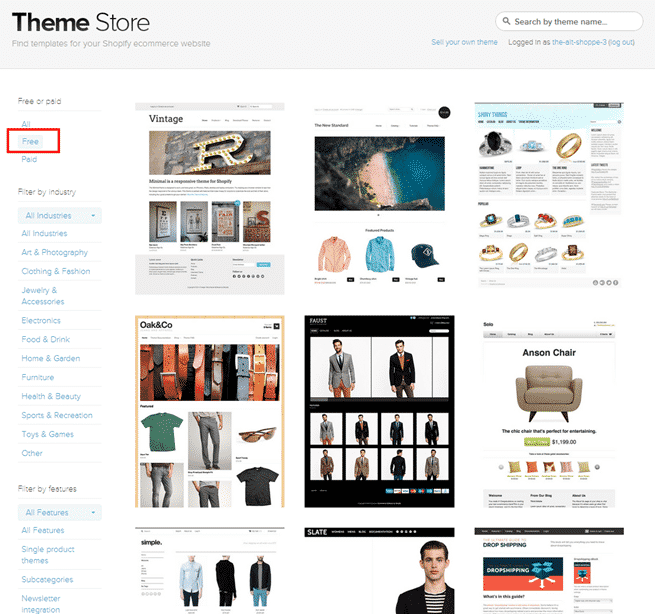 Theme options in Shopify