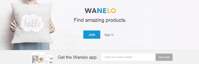 Wanelo Homepage