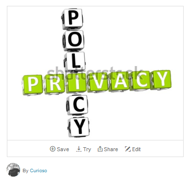 screenshot of privacy policy icon