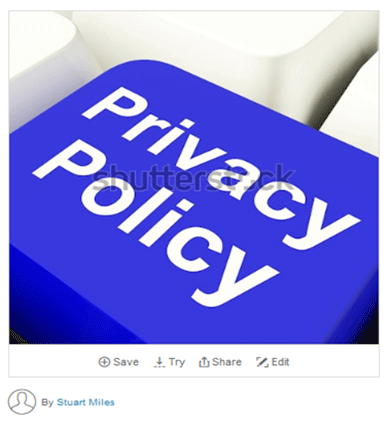 screenshot of privacy policy icon