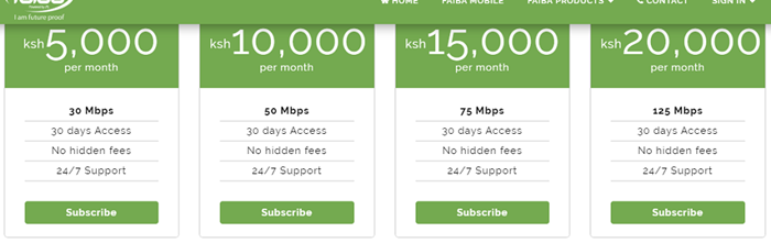 Faiba4g.co.ke internet connection plan