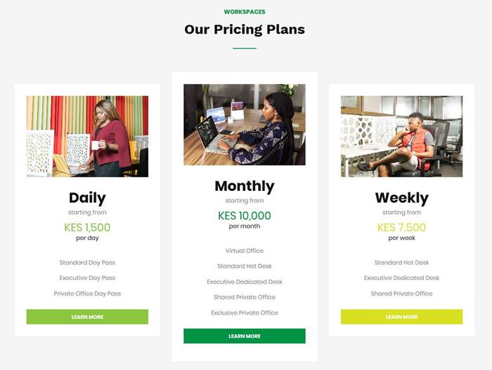 The Mint Hub pricing screenshot