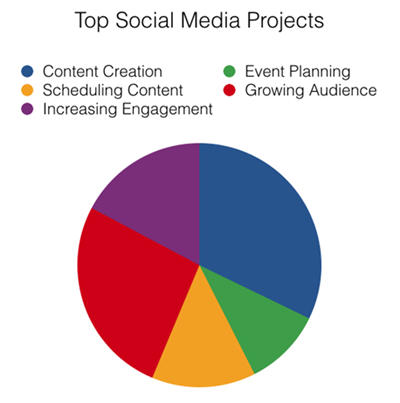 Pie chart of top social media projects