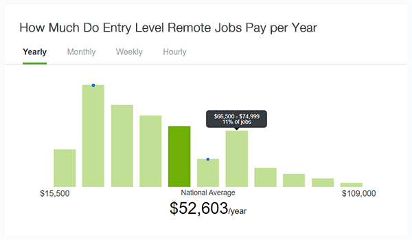 How much do entry level remote jobs pay per year.