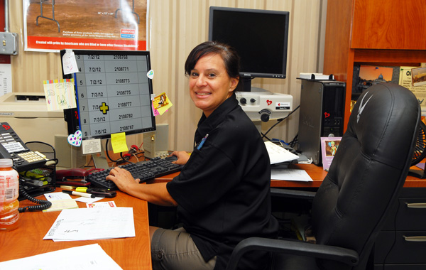 woman working using computer