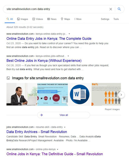 Google search result for data entry