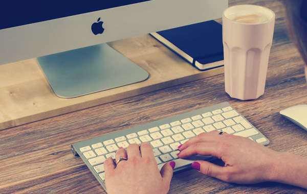 person holding apple magic keyboard