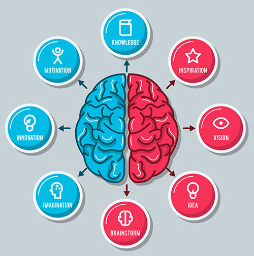 left and right brain animated illustration