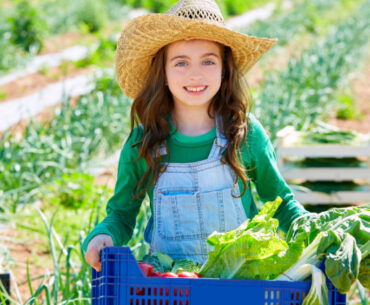 girl harvesting vegetables