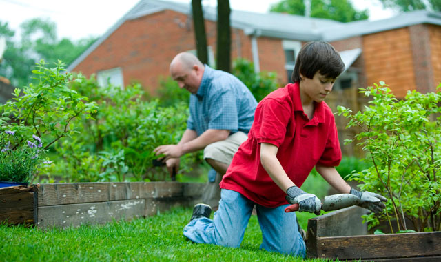 preteen tending a vegetable garden with an adult