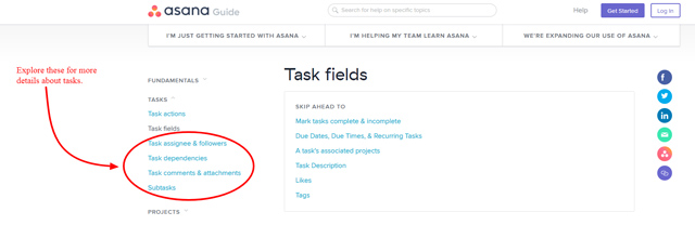 Asana task field