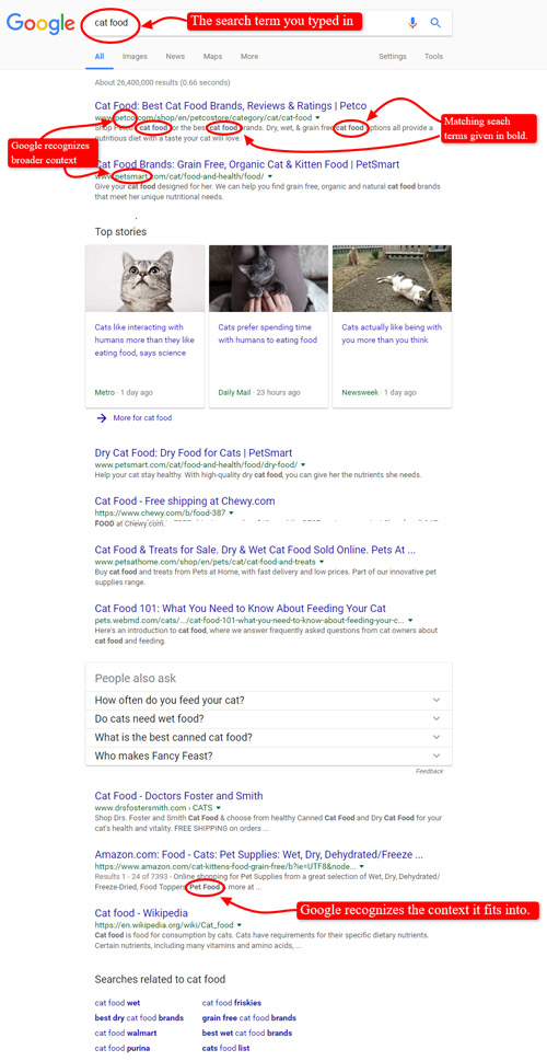 search engine cat food