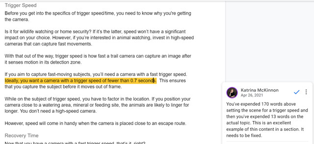 screenshot from a Google doc