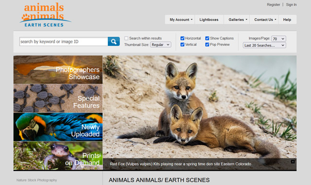screenshot of AnimalsAnimals home page