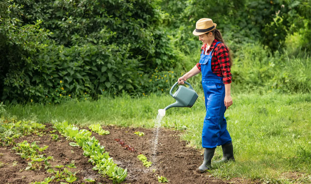 woman gardener watering garden