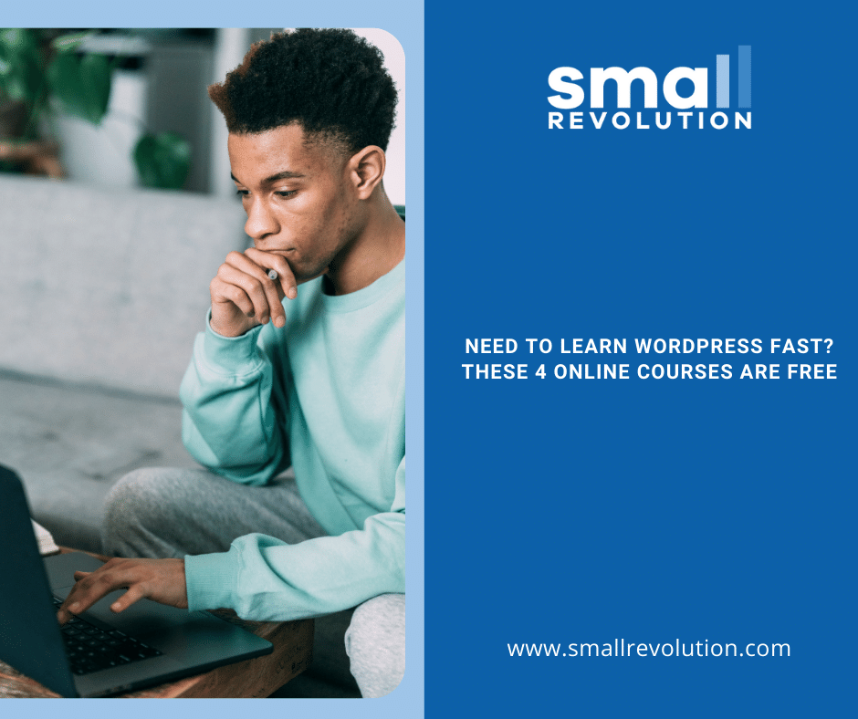 small-revolution-facebook-promo-learn-wordpress-fast